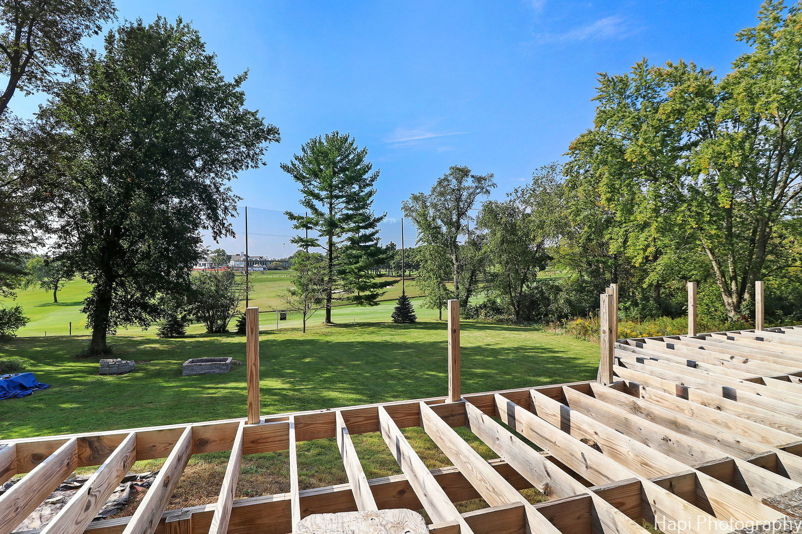 4285 Hilltop Road Long Grove, IL 60047 - Photo 56 of 59 a view of a yard with palm trees