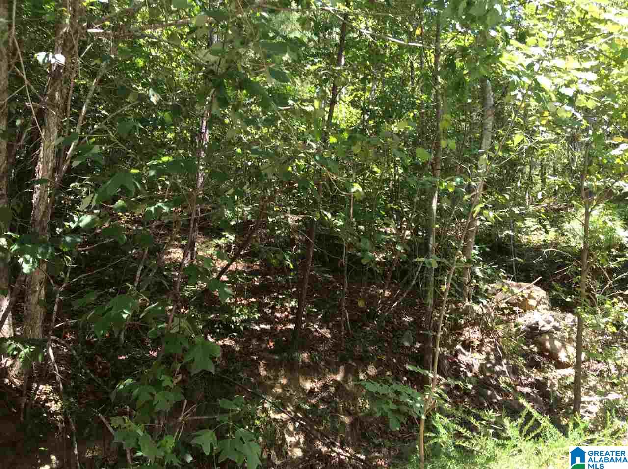 0 Rolling Hills Drive, Unit TRACT 2A Springville, AL 35146 - Photo 5 of 8