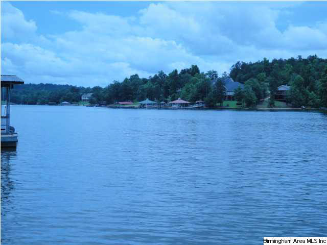 73 Warren Drive Wedowee, AL 36278 - Photo 3 of 14