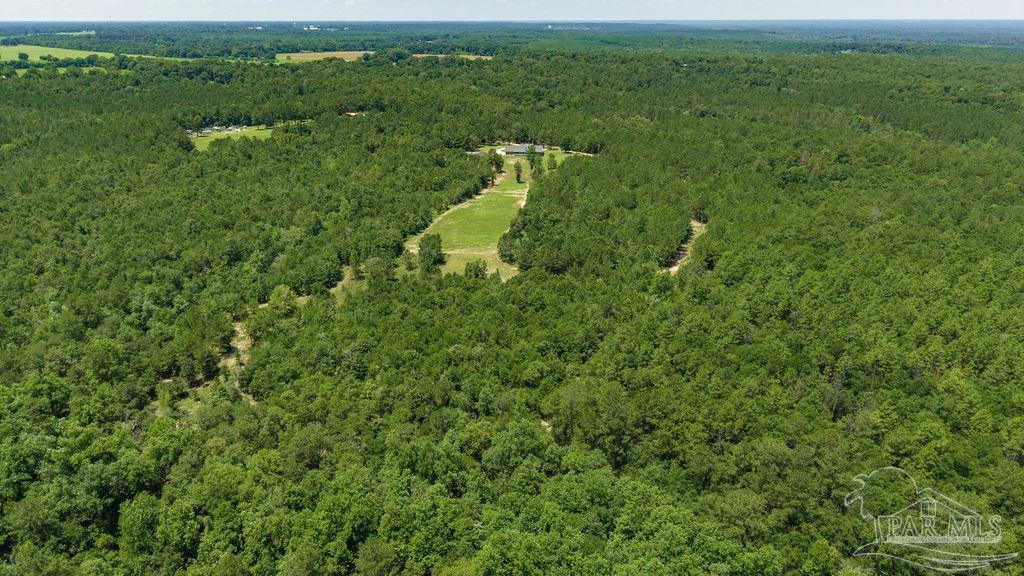 6382 Daniel Griffis Road Jay, FL 32565 - Photo 36 of 59