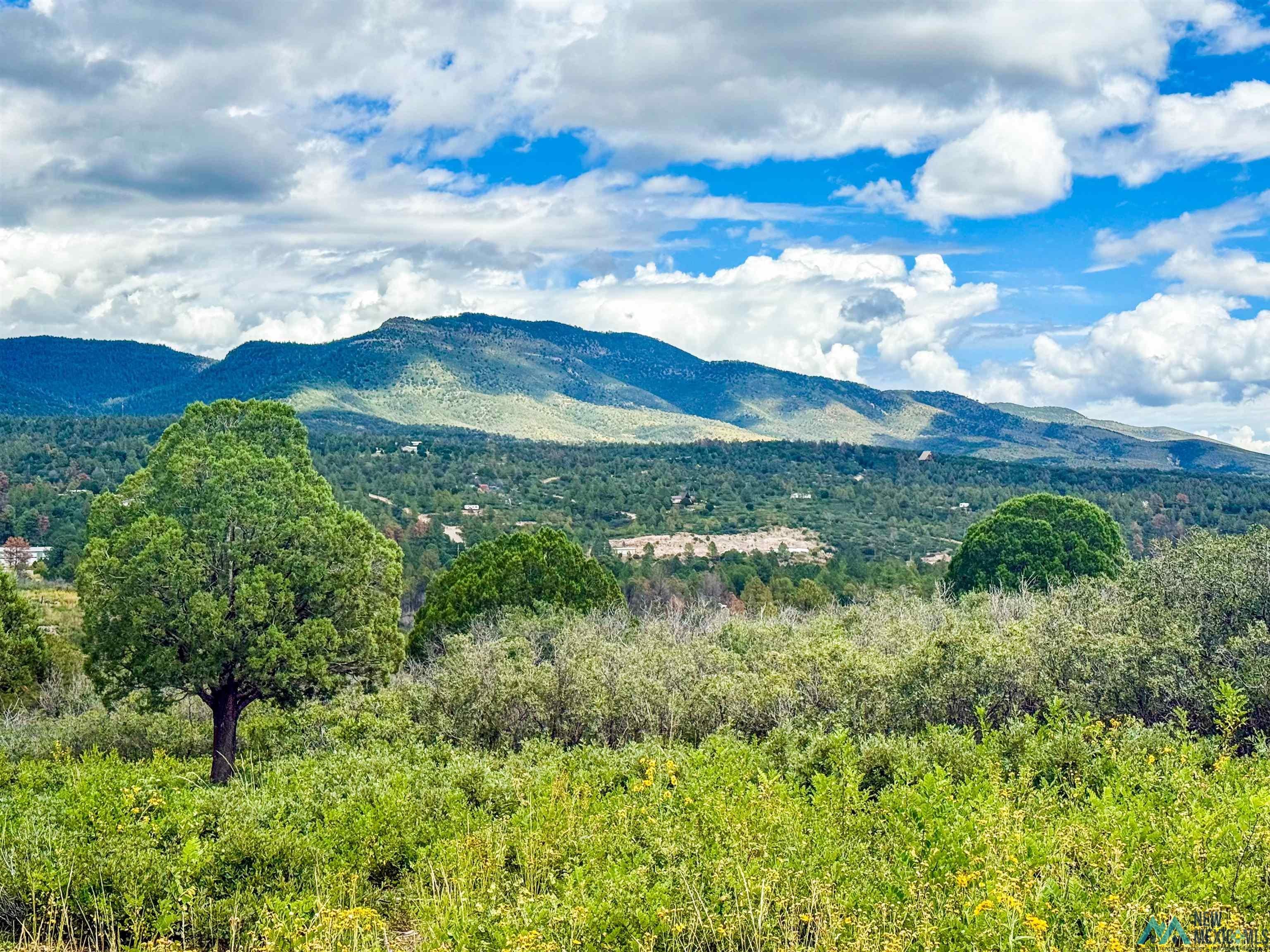 Lot 3 Paradise Road Timberon, NM 88350 - Photo 2 of 14 View of mountain background
