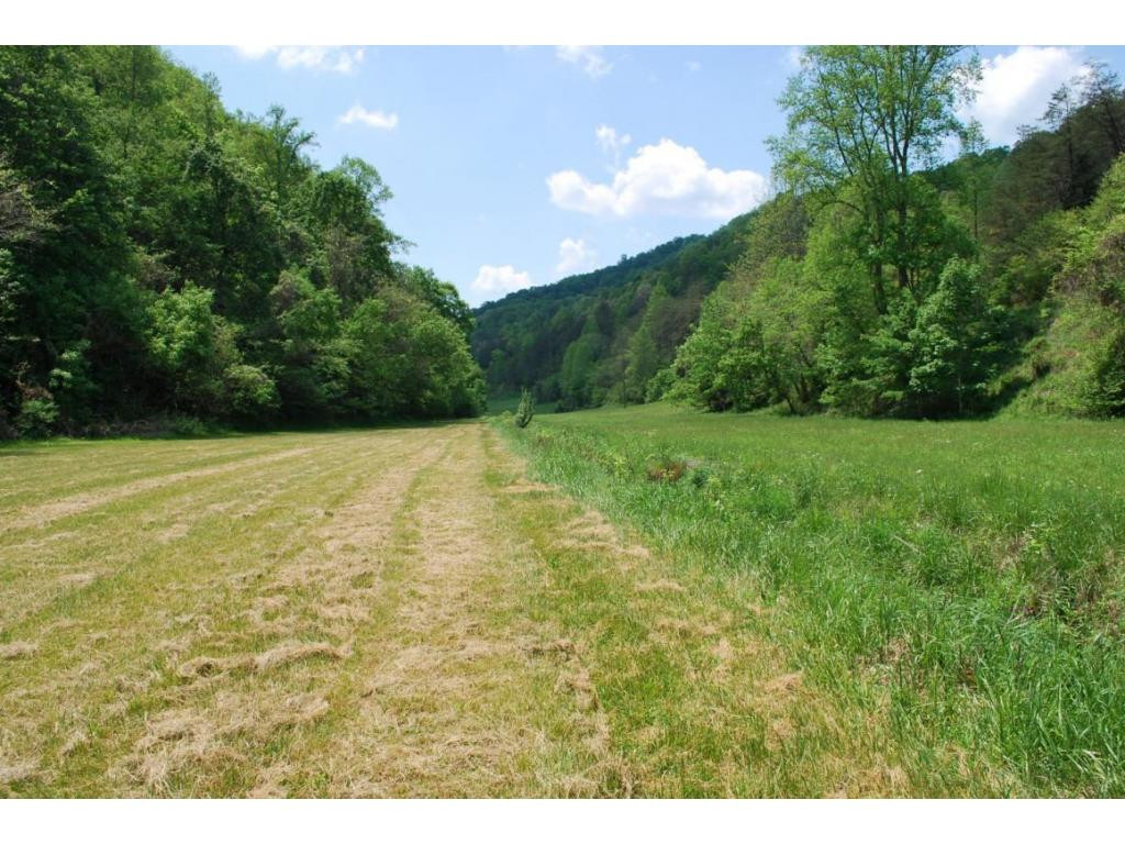 0 England Valley Road Duffield, VA 24244 - Photo 5 of 12 Photo 5