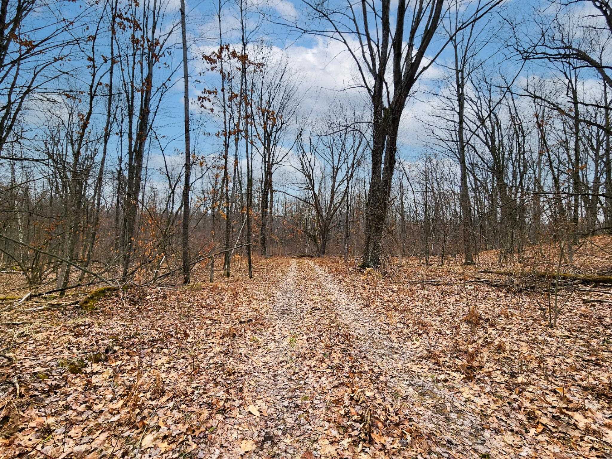 26-acres Mostetler Road Harrison, MI 48625 - Photo 12 of 18 Gallery Image 12
