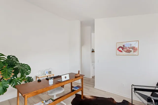 a room with furniture wall paintings and a potted plant