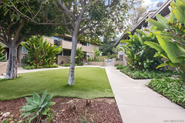 a view of a yard with plants