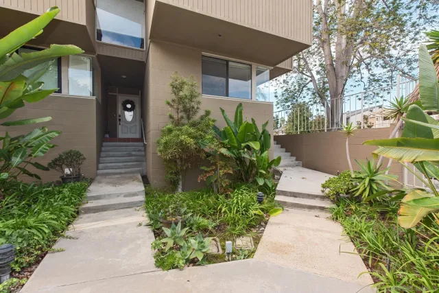 a view of a pathway with potted plants
