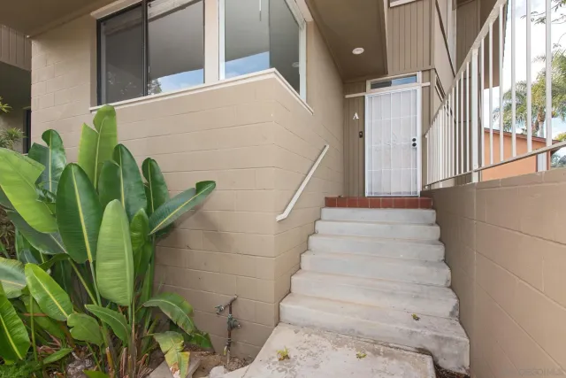 a view of a bunch of flowers in front of gate