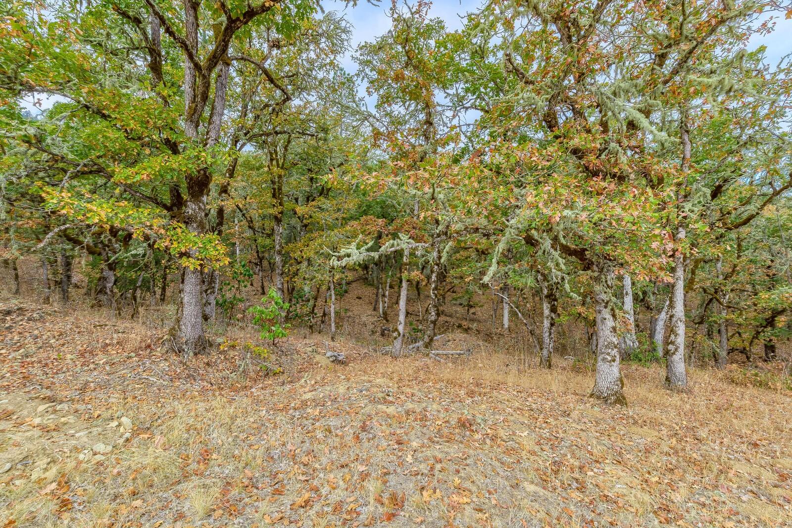 5535 Kane Creek Road Central Point, OR 97502 - Photo 77 of 78 72_KCR_73_mls