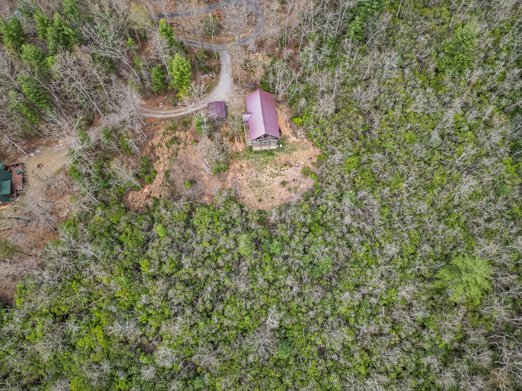 60 Silver Fox Circle Murphy, NC 28906 - Photo 32 of 48