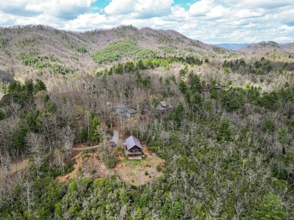 60 Silver Fox Circle Murphy, NC 28906 - Photo 34 of 48