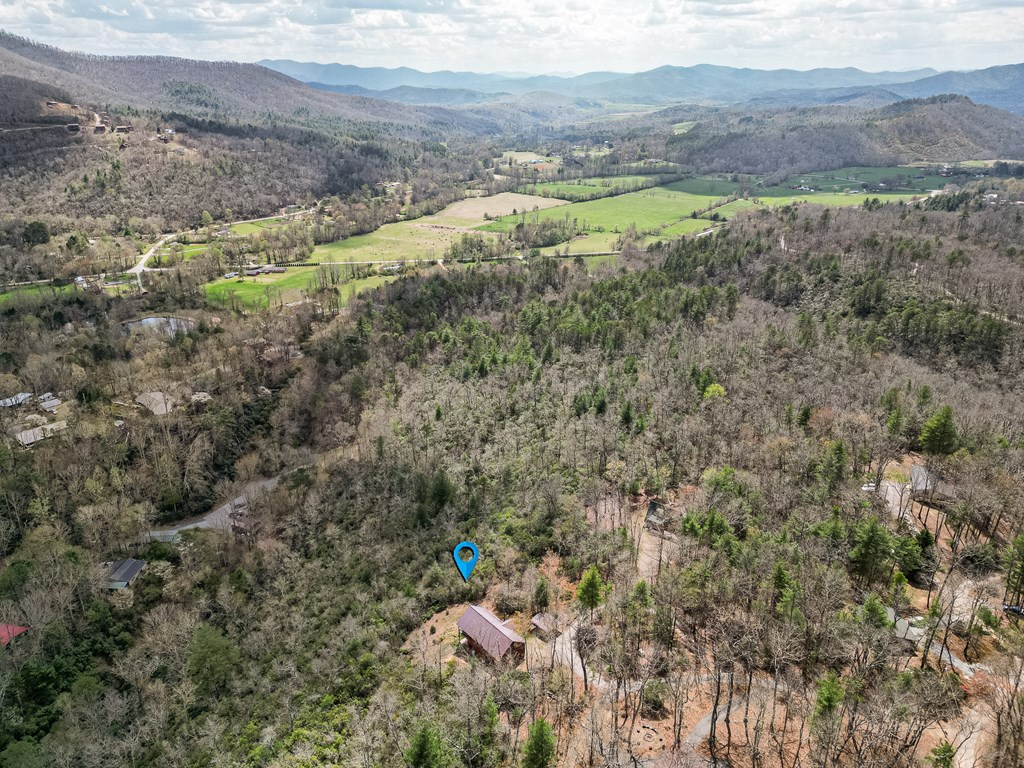 60 Silver Fox Circle Murphy, NC 28906 - Photo 37 of 48
