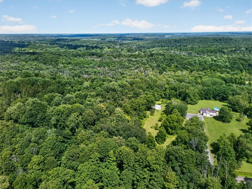 4190 Drury Road Butler, NY 13146 - Photo 8 of 12 Gallery Image 8