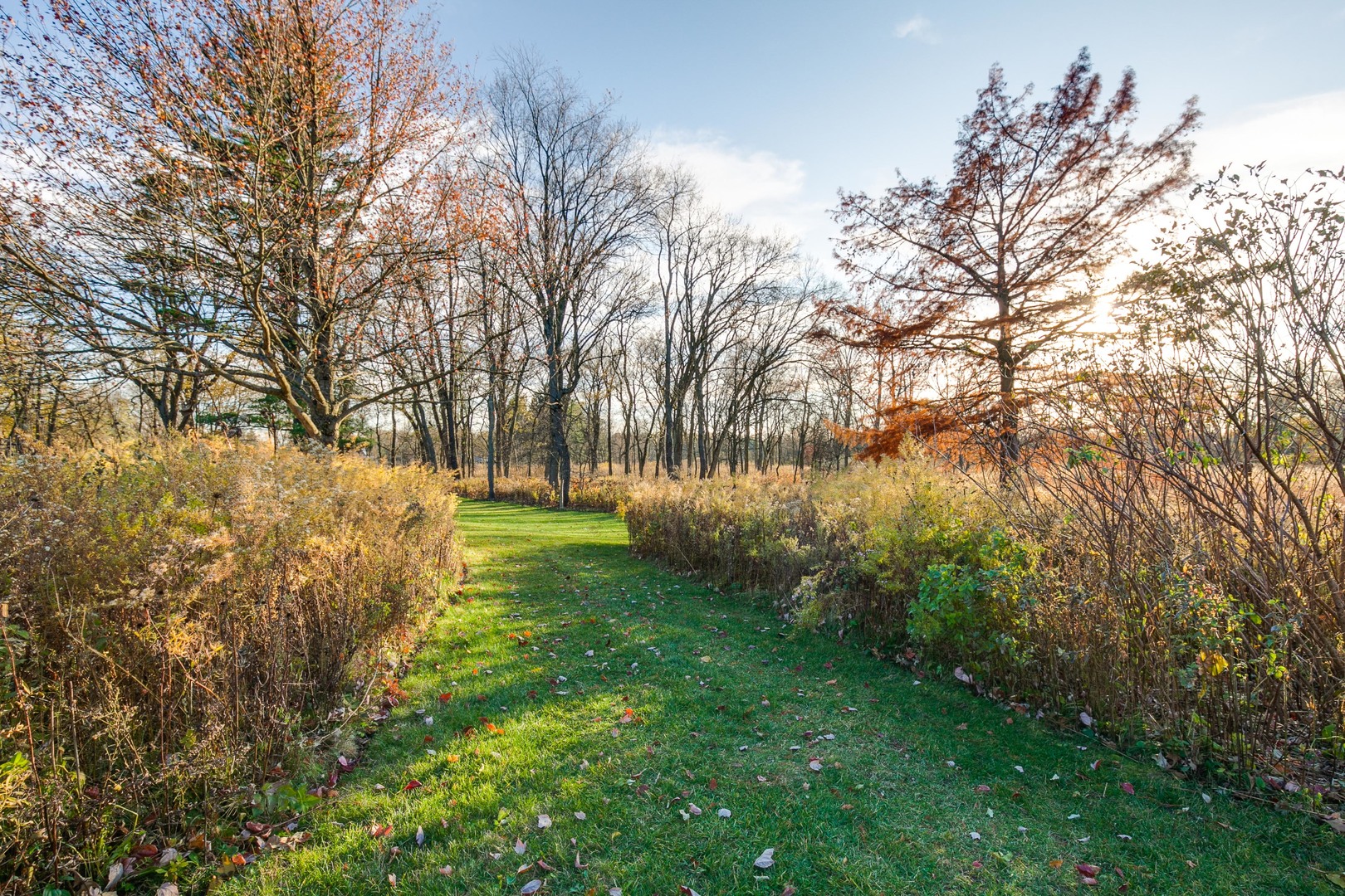 980 North Green Bay Road Lake Forest, IL 60045 - Photo 57 of 62