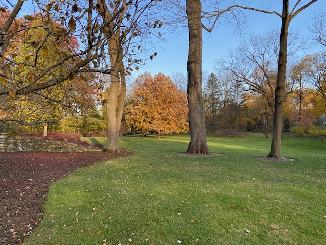 980 North Green Bay Road Lake Forest, IL 60045 - Photo 59 of 62