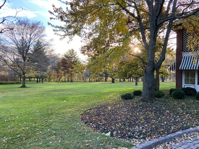 980 North Green Bay Road Lake Forest, IL 60045 - Photo 60 of 62