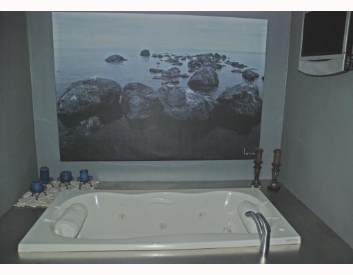 1332 Coraopolis Heights Road Coraopolis, PA 15108 - Photo 12 of 18 Master Bath/Spa. Slip into the luxury of the jetted tub with custom stainless steel surround.