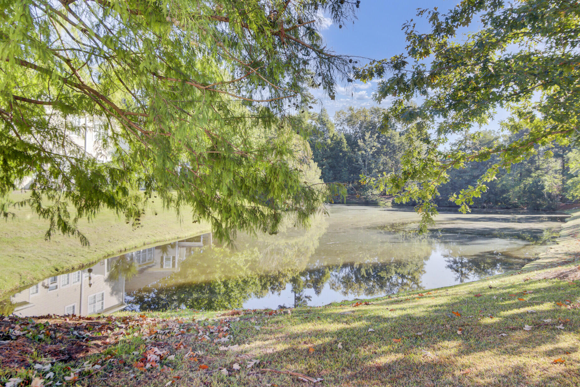 1607 Indaba Way Charleston, SC 29414 - Photo 41 of 43 51_51_mls