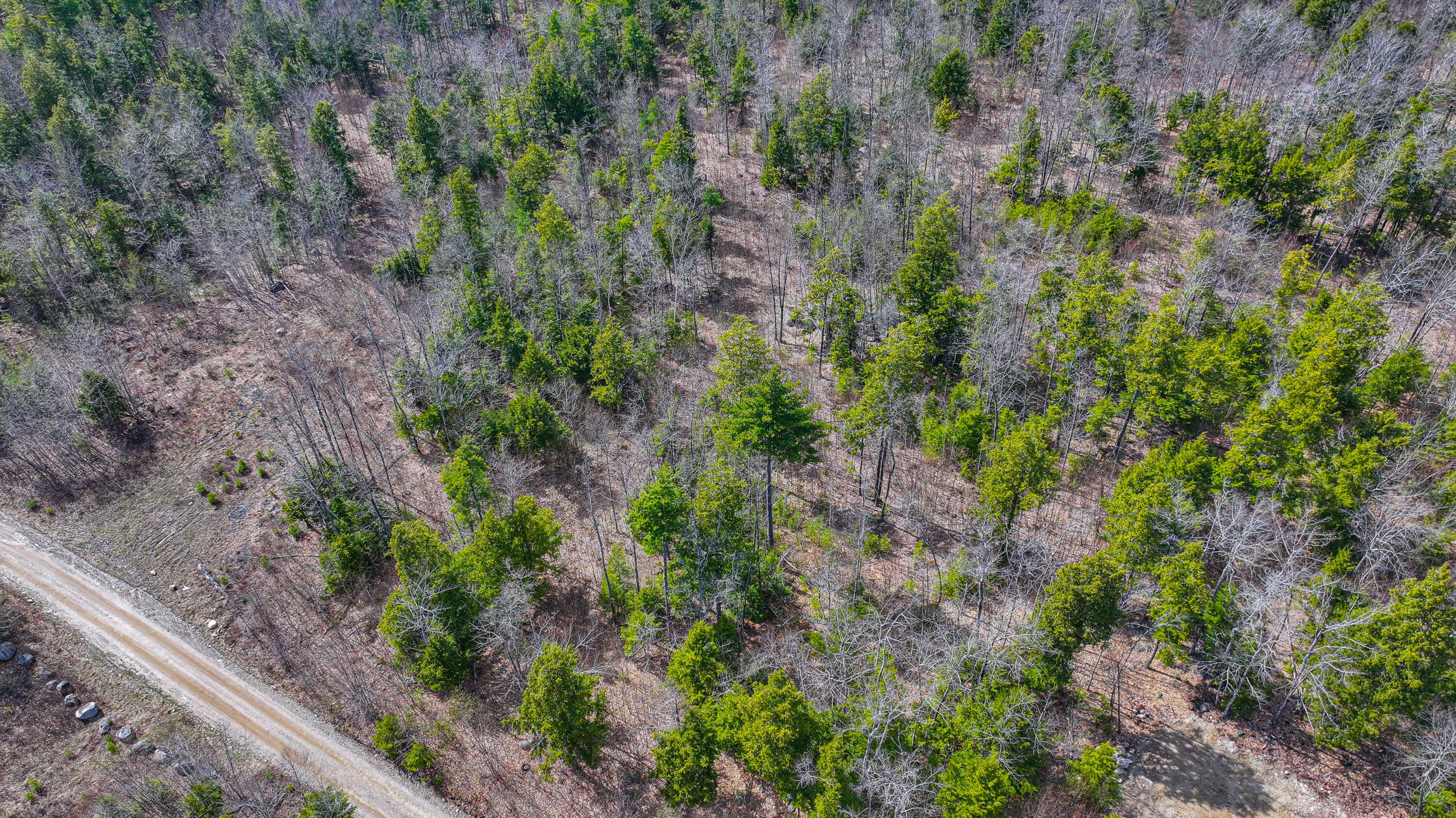 228 Murch Road East Baldwin, ME 04024 - Photo 12 of 14 murch road land-35
