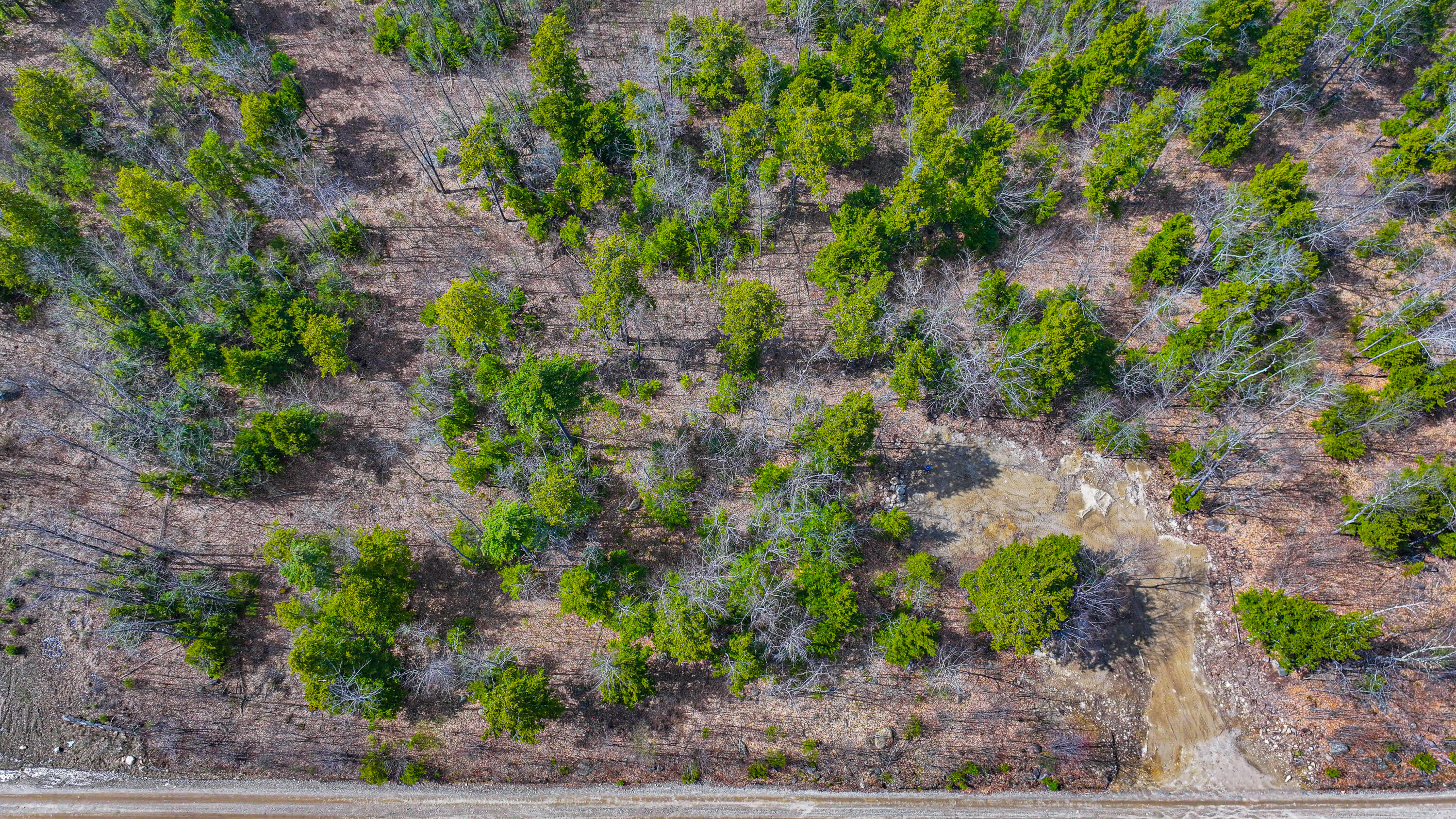 228 Murch Road East Baldwin, ME 04024 - Photo 13 of 14 murch road land-37
