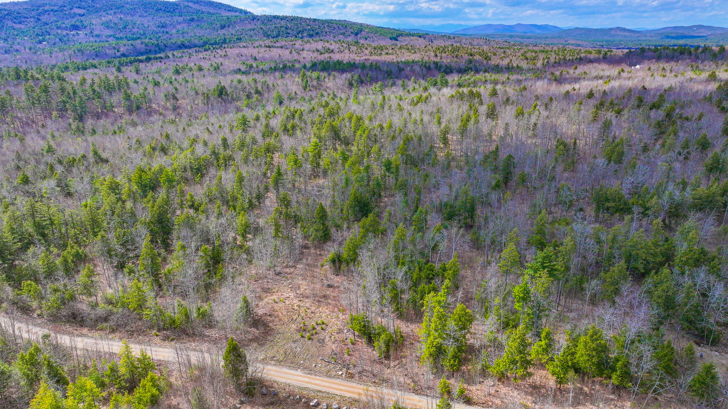 228 Murch Road East Baldwin, ME 04024 - Photo 5 of 14 murch road land-30