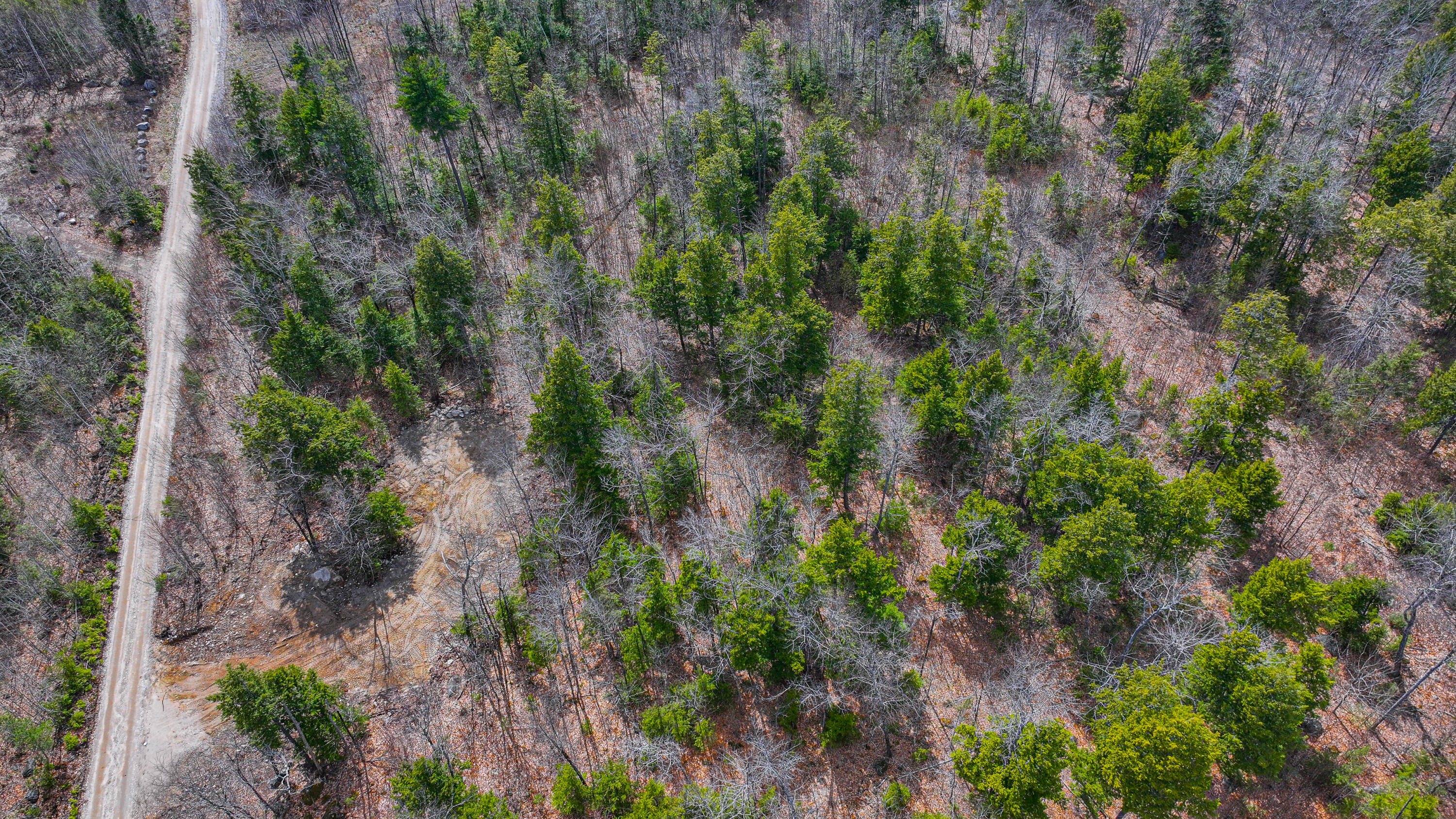 228 Murch Road East Baldwin, ME 04024 - Photo 9 of 14 murch road land-9