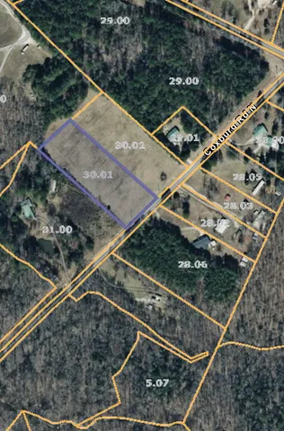 a roof deck with tall trees