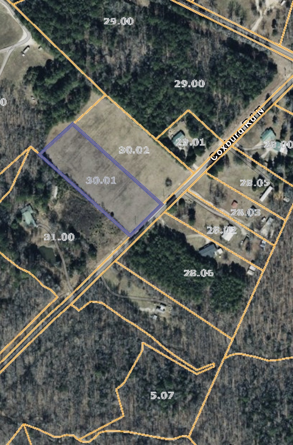 a roof deck with tall trees