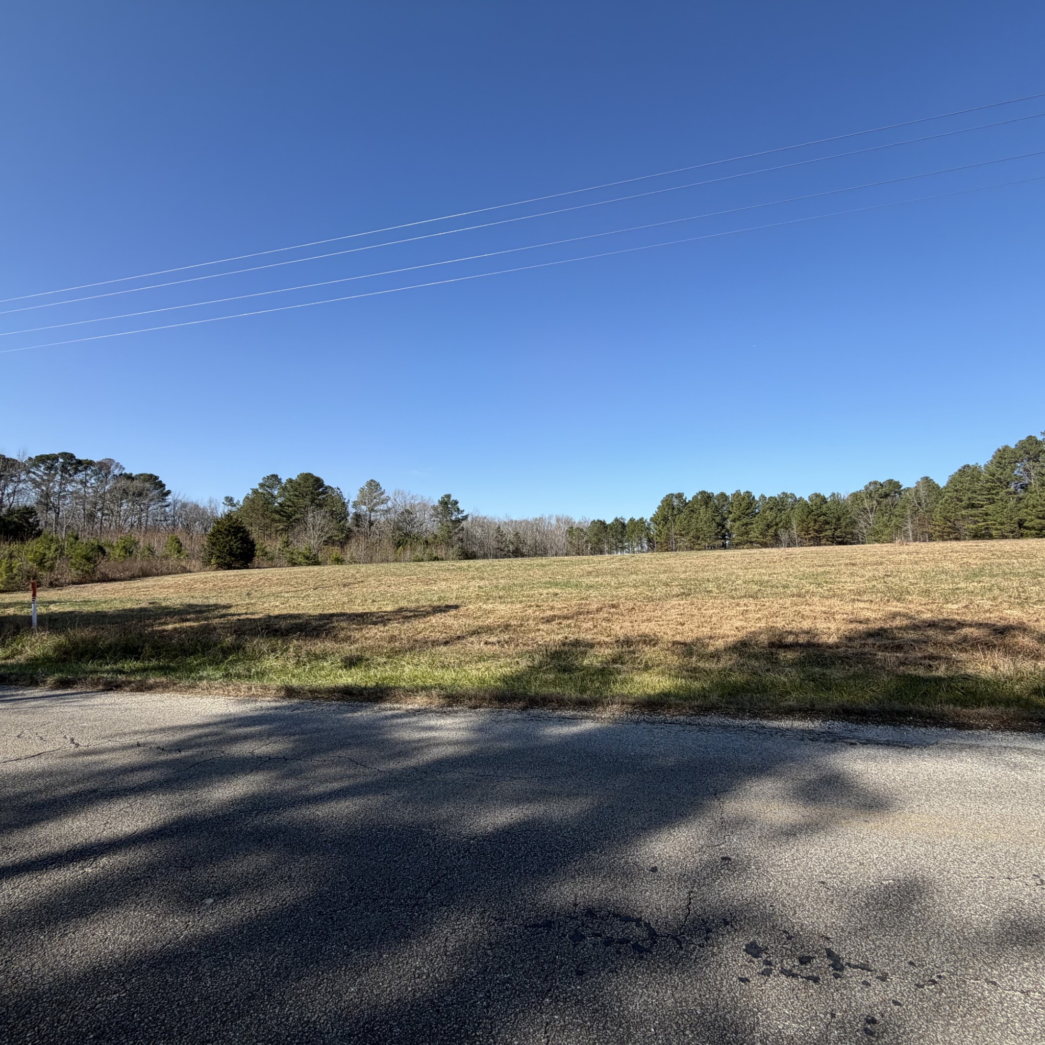 199 Coxburg Road North Holladay, TN 38341 - Photo 2 of 3 a view of lake with green space
