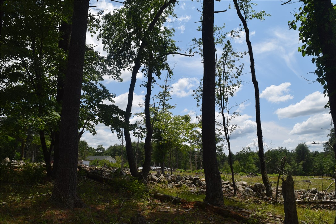 Lot 21 Anthony Road Earlton, NY 12058 - Photo 11 of 14