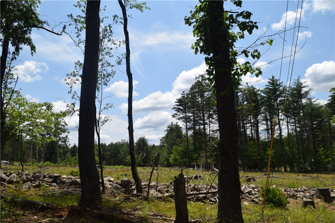 Lot 21 Anthony Road Earlton, NY 12058 - Photo 12 of 14