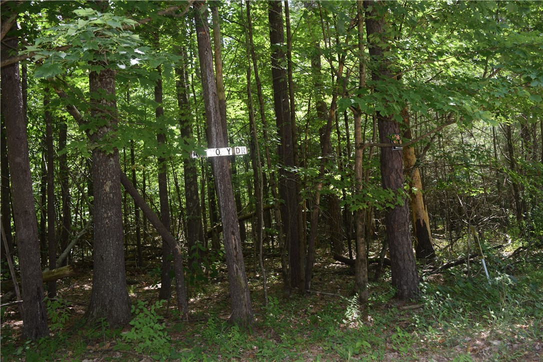 Lot 21 Anthony Road Earlton, NY 12058 - Photo 13 of 14 Woods at western end