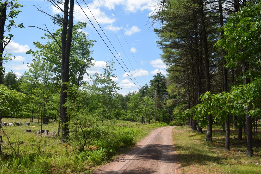 Lot 21 Anthony Road Earlton, NY 12058 - Photo 2 of 14 Anthony Road west