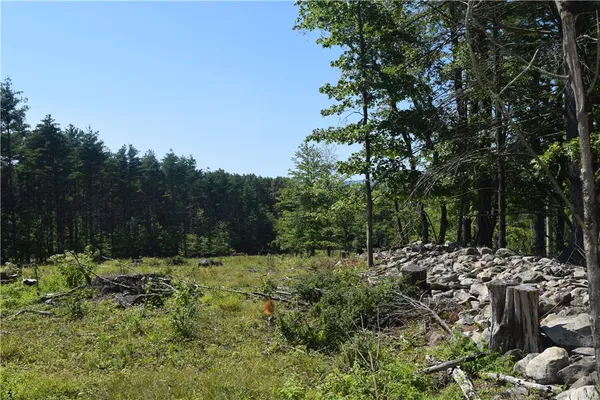 $73,000 | Lot 21 Anthony Road, Earlton, NY 12058