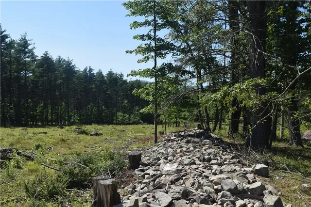 $73,000 | Lot 21 Anthony Road, Earlton, NY 12058