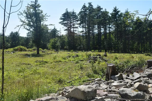 $73,000 | Lot 21 Anthony Road, Earlton, NY 12058