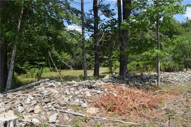 $73,000 | Lot 21 Anthony Road, Earlton, NY 12058