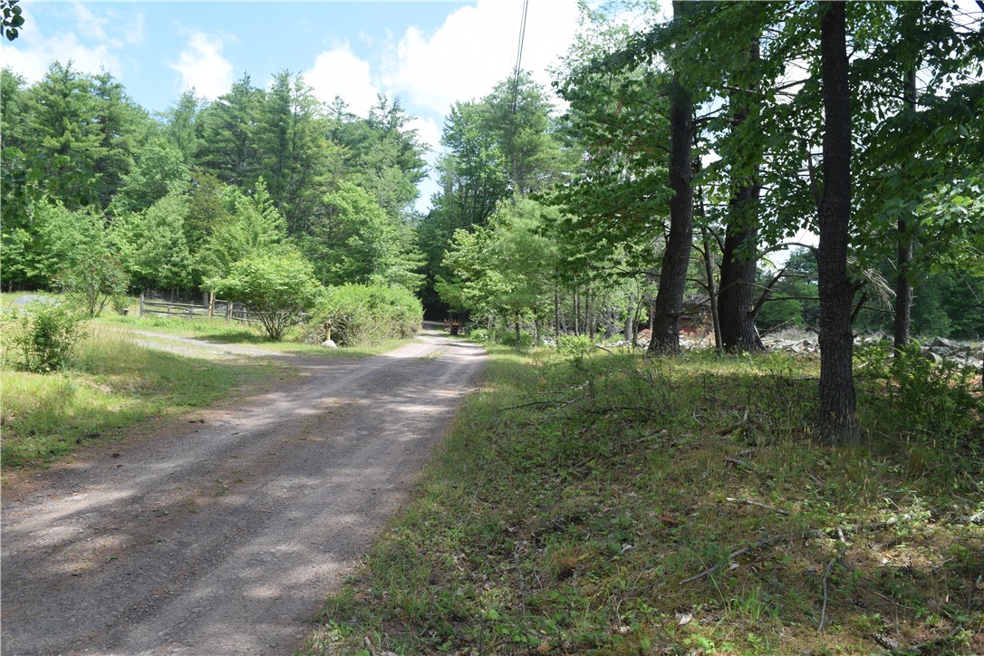 Lot 21 Anthony Road Earlton, NY 12058 - Photo 8 of 14 Anthony road east