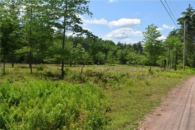 $73,000 | Lot 21 Anthony Road, Earlton, NY 12058