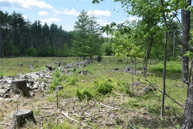 $73,000 | Lot 21 Anthony Road, Earlton, NY 12058