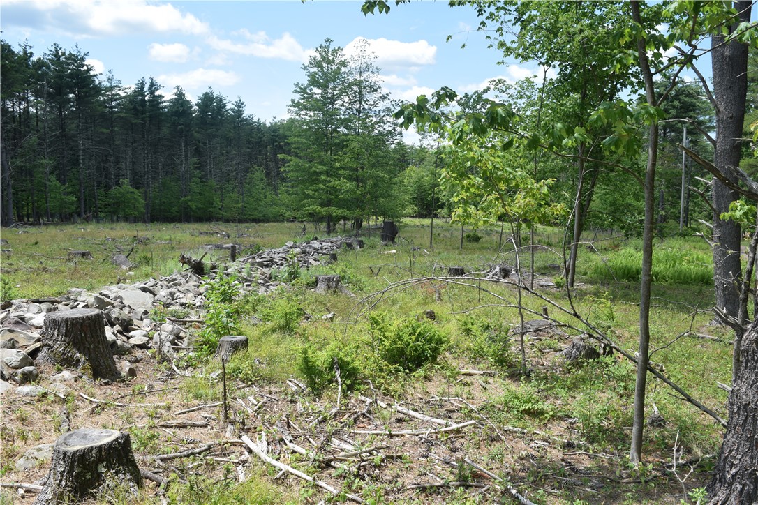 Lot 21 Anthony Road Earlton, NY 12058 - Photo 10 of 14