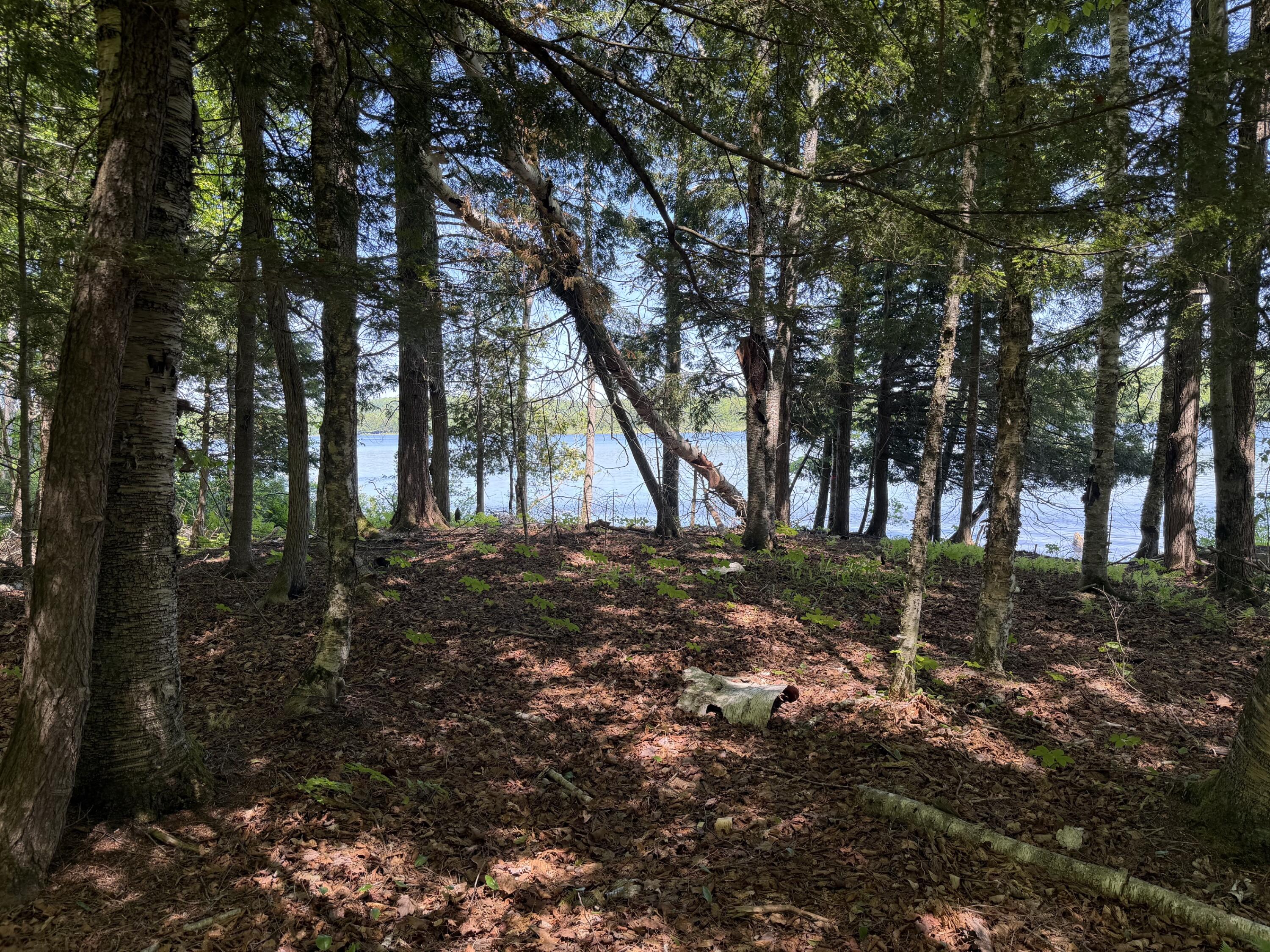 21 Map Lane Dexter, ME 04930 - Photo 7 of 12 7