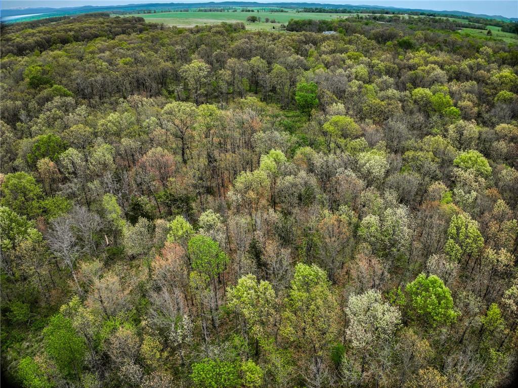 Lot 2 South 725 Road Stockton, MO 65785 - Photo 40 of 48