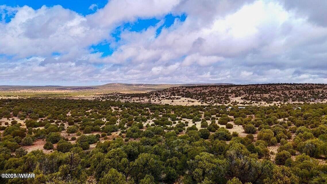 8256 Tbd Co Road Show Low, AZ 85901 - Photo 16 of 30 20250415064408548549000000-o