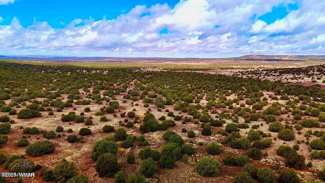 8256 Tbd Co Road Show Low, AZ 85901 - Photo 18 of 30 20250415064432969277000000-o