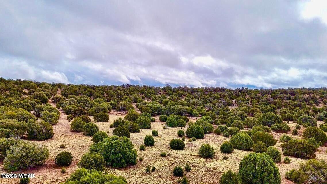 8256 Tbd Co Road Show Low, AZ 85901 - Photo 21 of 30 20250415064517073678000000-o
