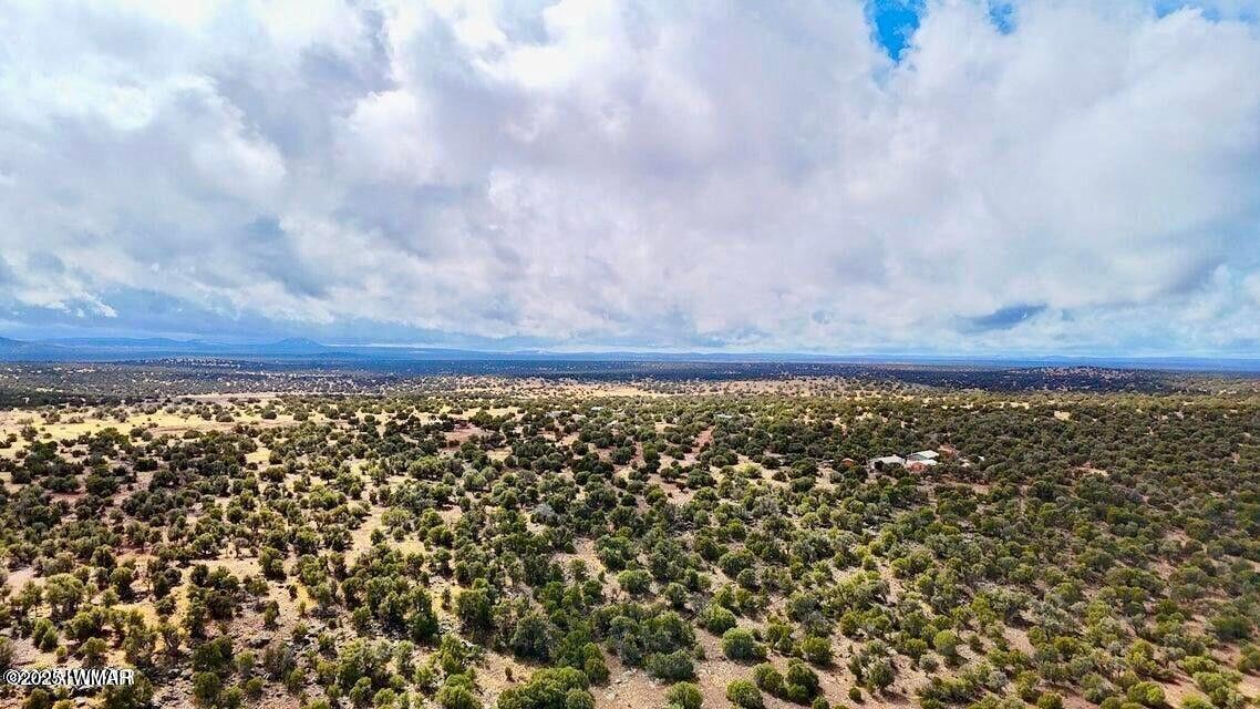 8256 Tbd Co Road Show Low, AZ 85901 - Photo 29 of 30 20250415064735956536000000-o