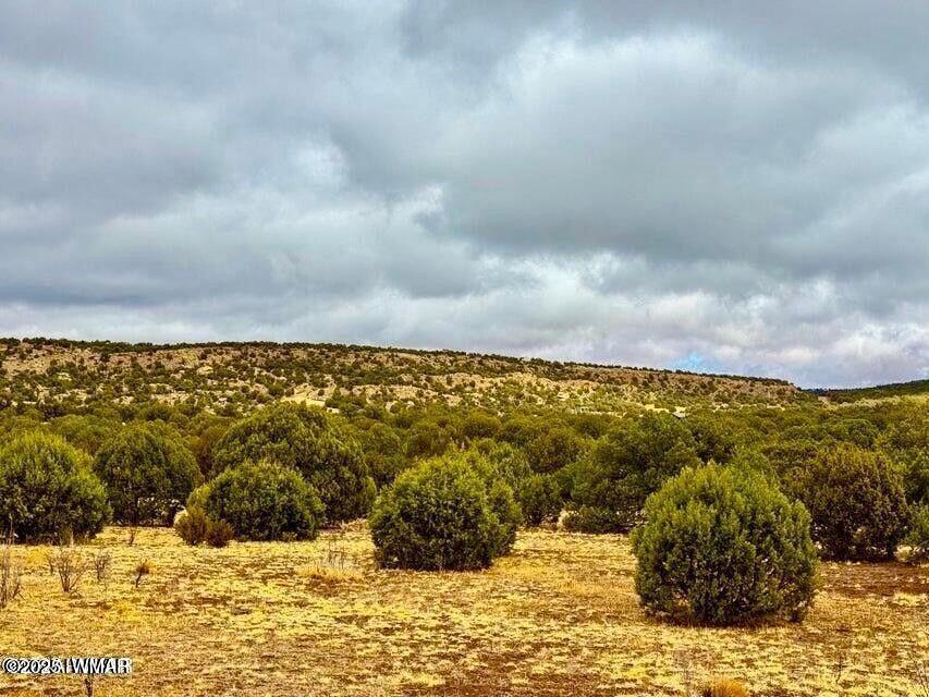 8256 Tbd Co Road Show Low, AZ 85901 - Photo 6 of 30 20250415064211524986000000-o