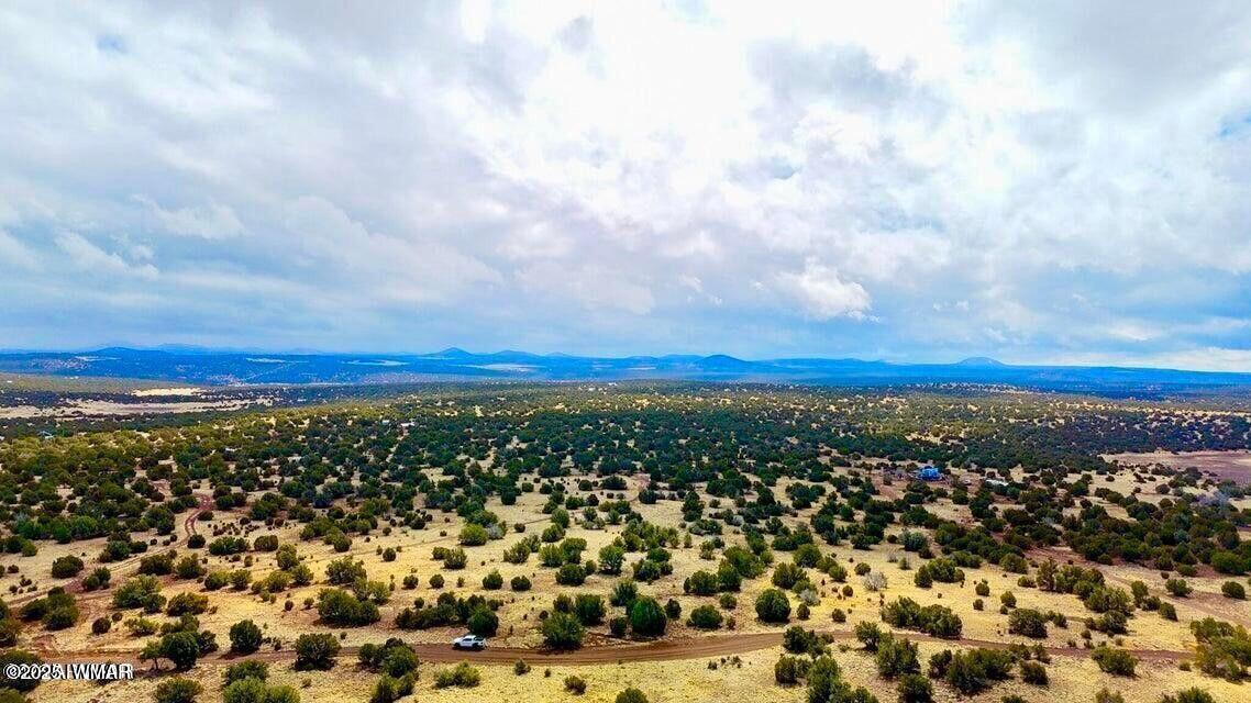8256 Tbd Co Road Show Low, AZ 85901 - Photo 8 of 30 20250415064242624210000000-o