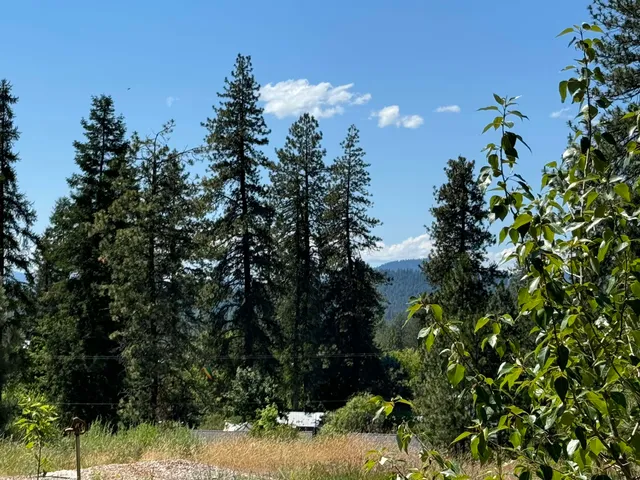 $119,000 | 530 North A Street, Unit LOT #4, Springdale, WA 99173