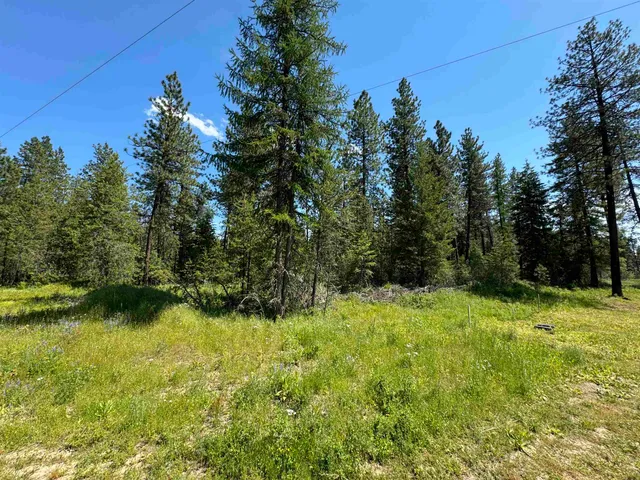 $119,000 | 530 North A Street, Unit LOT #4, Springdale, WA 99173